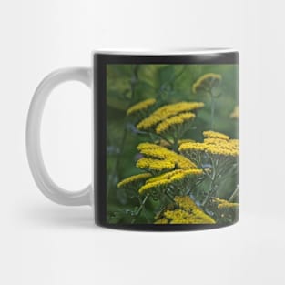 Achillea and the Red Spider Mug